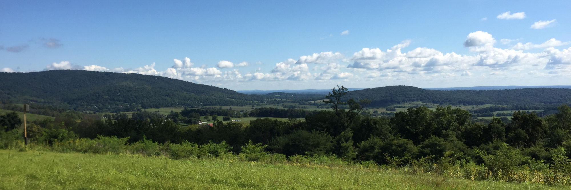 My spiritual journey with Parkinson's