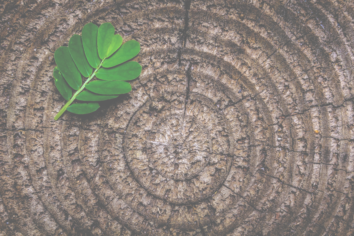 The concentric circles of love and friendship