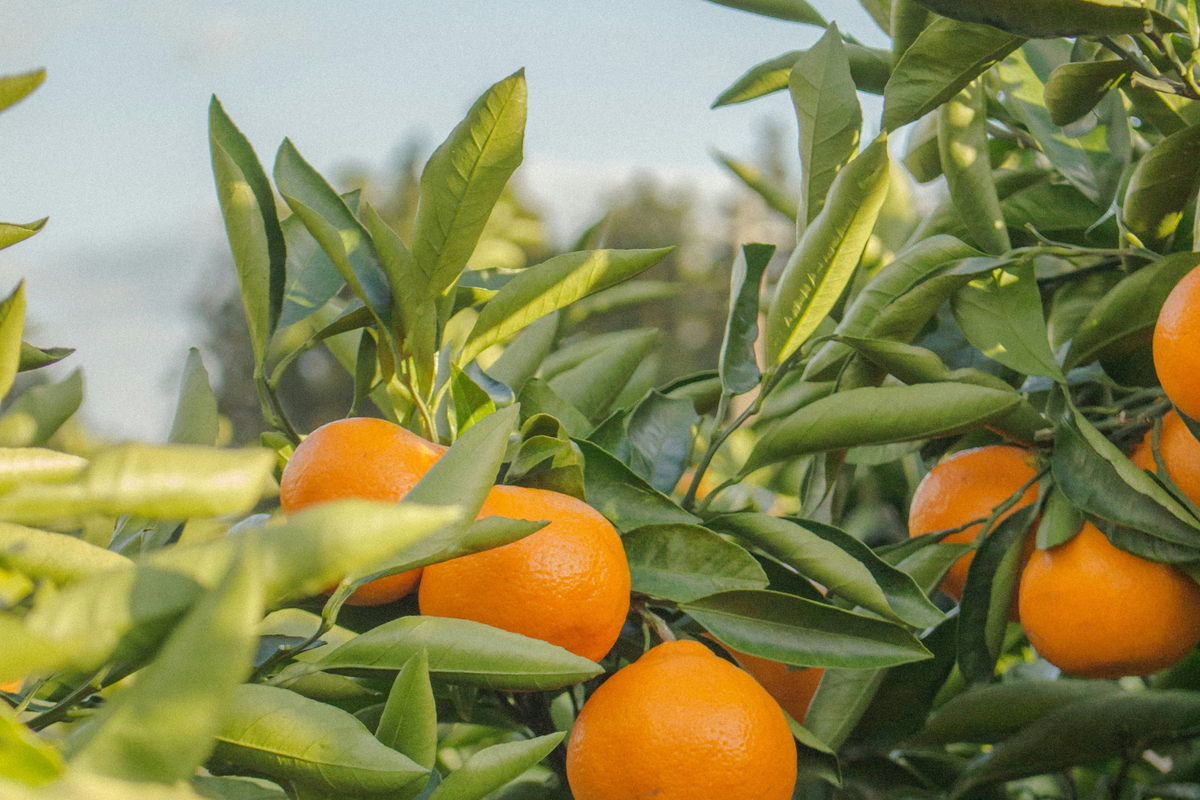 How to bring joy to each and every task