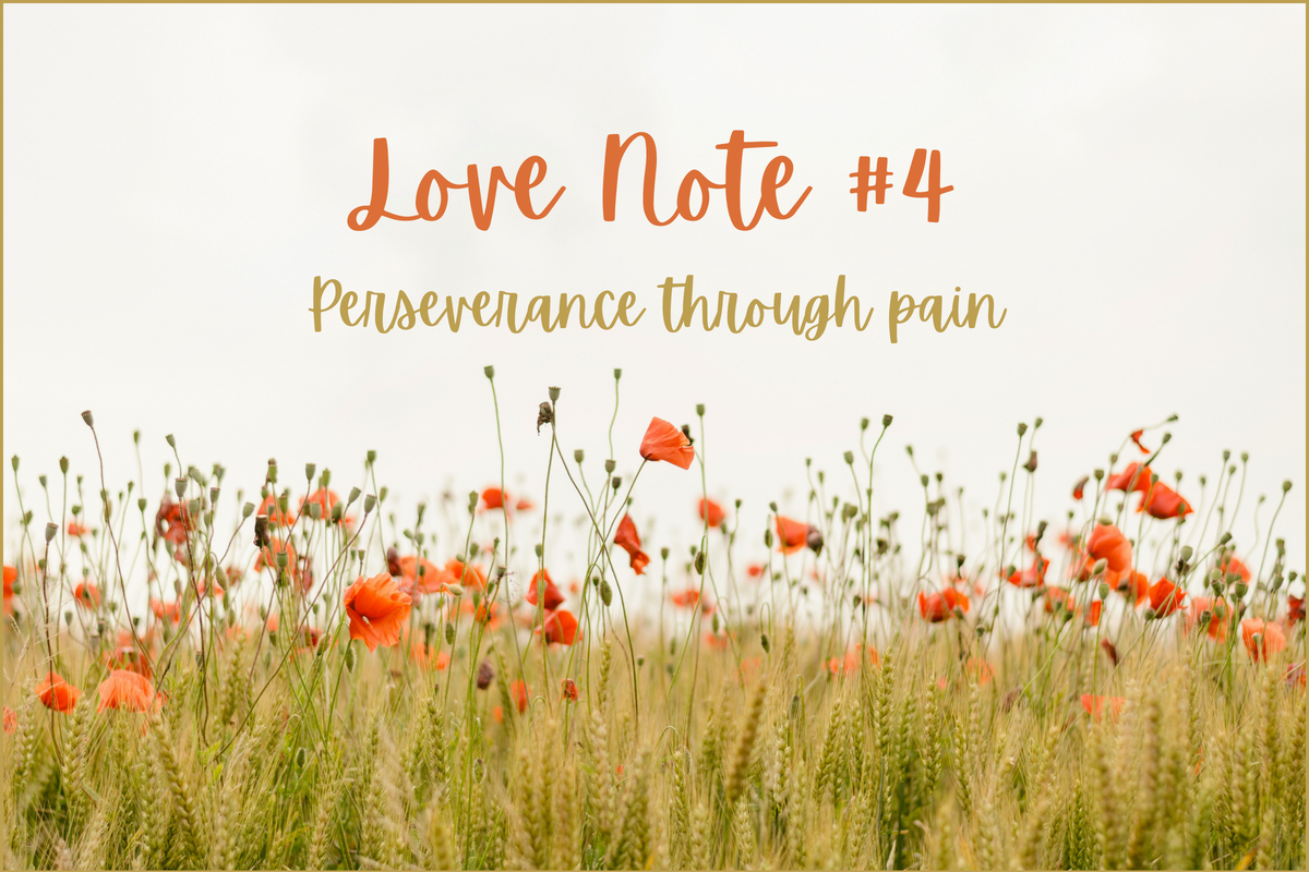 Love Note #4: Perseverance through pain