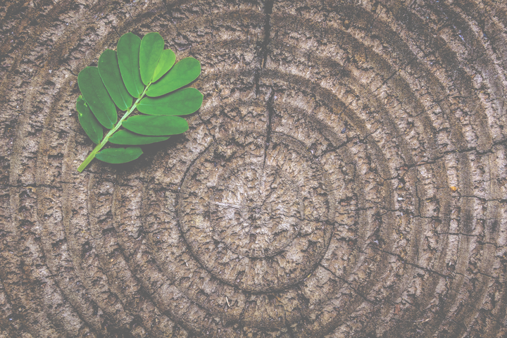 The concentric circles of love and friendship