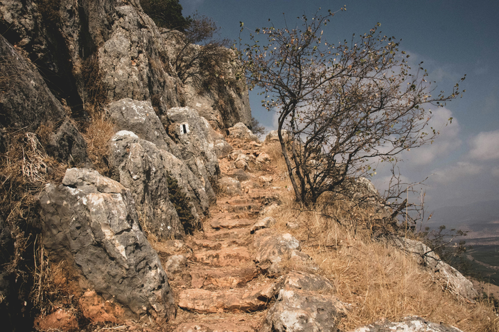 "Striving" by John Sayers