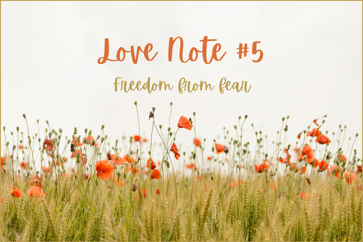 Love Note #5: Freedom from fear