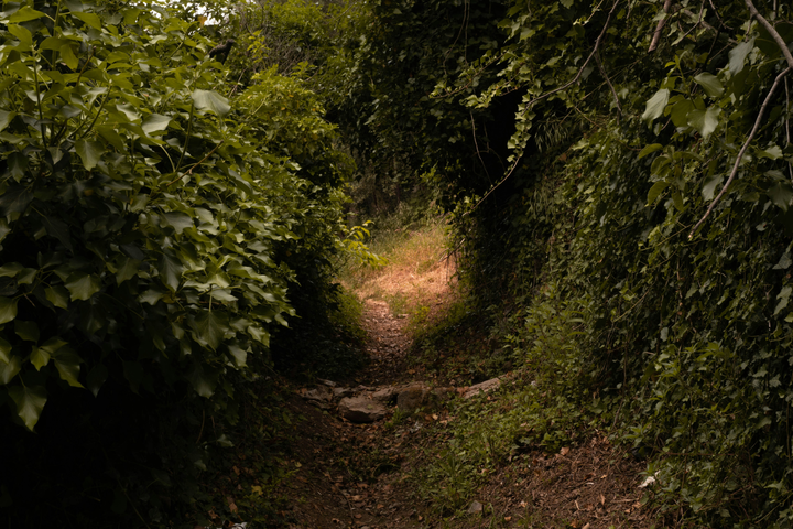 "Come to my heart" by John Sayers